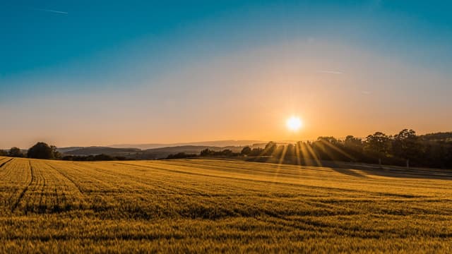 Turning fragmented commodity procurement into decision intelligence